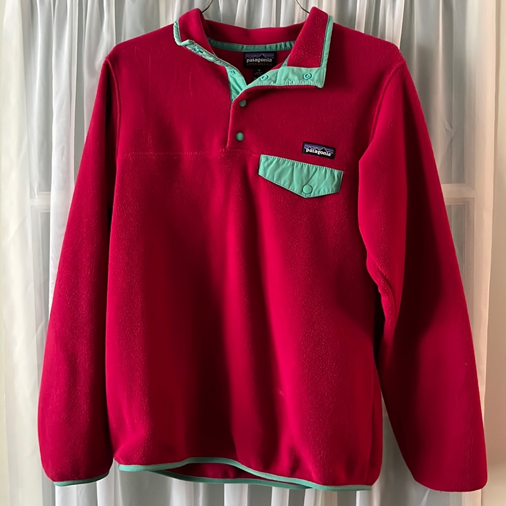 Patagonia Synchilla Pullover
